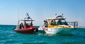 7,7m barco Sealegs Coastguard 