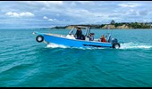 Sealegs 7,5m Barco Anfíbio de Liga na água