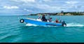 Sealegs 7,5m Barco Anfíbio de Liga na água